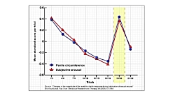 The great porn experiment | Ga...