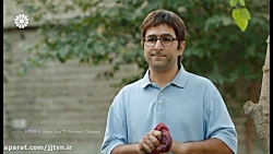 قسمت 3 ، سریال « لحظه گرگ و می...