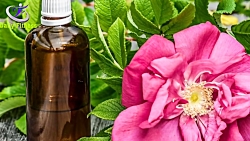 بهترین روش ها برای از بین بردن...