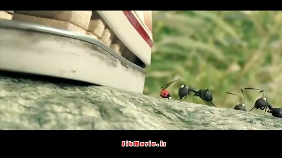تریلر انیمیشن Minuscule Valley of the Lost Ants 2013 زمان123ثانیه