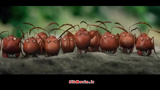 تریلر انیمیشن Minuscule Valley of the Lost Ants 2013 زمان123ثانیه