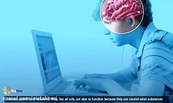 راه های عبور مواد از غشا انتشا...