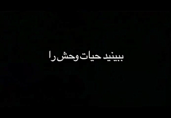 مستند حیات وحش مستند حیات وحش