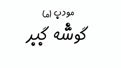مودب اما گوشه گیر
