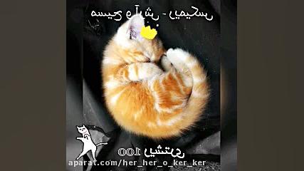 100 ریشتری/ارش ap و مسیح/اهنگ صد ریشتری زمان42ثانیه