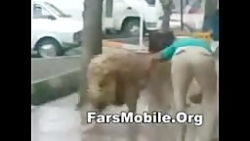 شستن شیرتویکی ازخیابان های تهر...