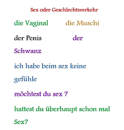 اصطلاحات آلمانی  با کلمه سکس Sauml;tze mit Sex