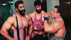 فیت ۱۵۱  بزرگان پرورش اندام ای...