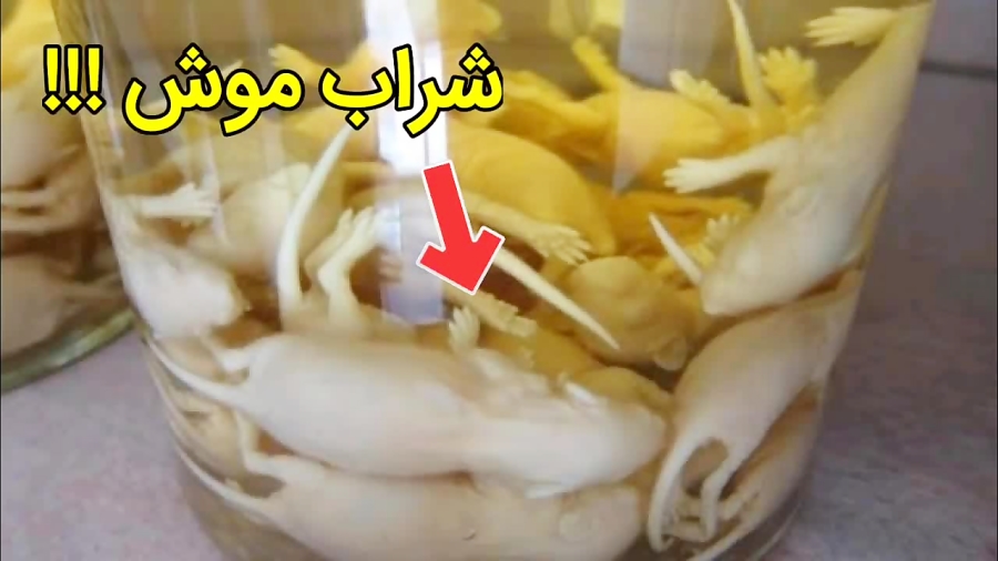 شراب موش هم به بازار آمد !