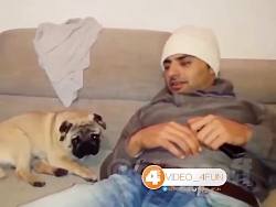 کلیپ خنده دار چه سگ‌مهربونی