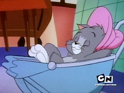 کارتون تام و جری (موش و گربه)...