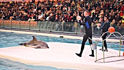 تیزر دلفیناریوم برج میلاد تهرا...