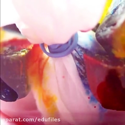  آموزش سه ایده جالب و دیدنی بر...