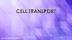 انتقال فعال و انتشار -زیست شنا...