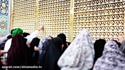 نماهنگ زیبا - زیارت امام رضا (...