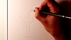 چگونه یک درخت زیبا نقاشی کنیم