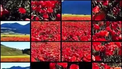 آهنگ شاد افغانی برای رقص 20۱۹