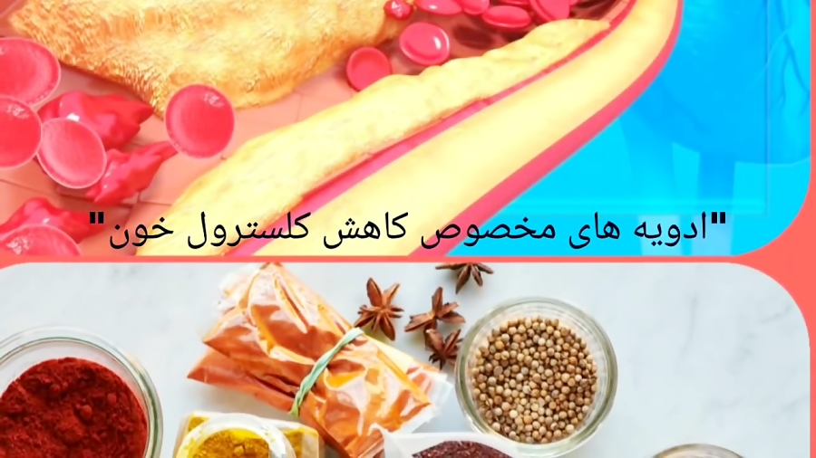 ادویه های مخصوص برای کاهش کلسترول و باز کردن رگ ها رو بشناسید!