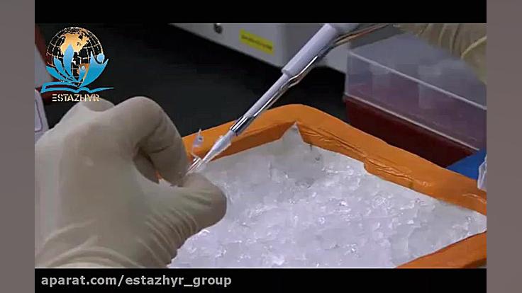 PCR کلونینگ IV دندان پیش
