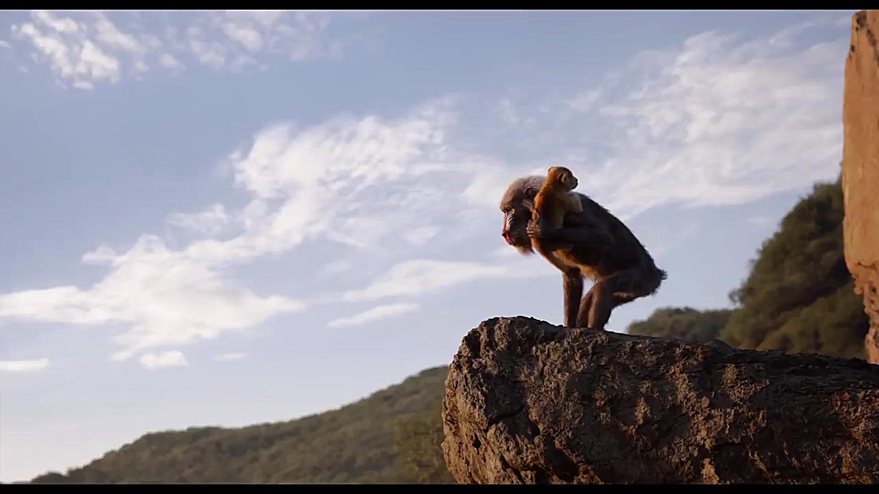 معرفی سیمبا در فیلم The Lion King - زومجی زمان54ثانیه