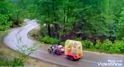 ترانه ی گرگی و روبی در پیشونی...