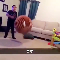 علاقه بین خواهر و برادر موج می...