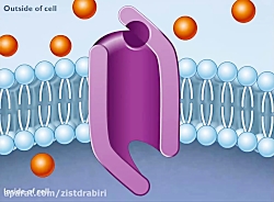 انتشار تسهیل شده