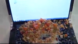 لپ تاپ بیچاره!!!