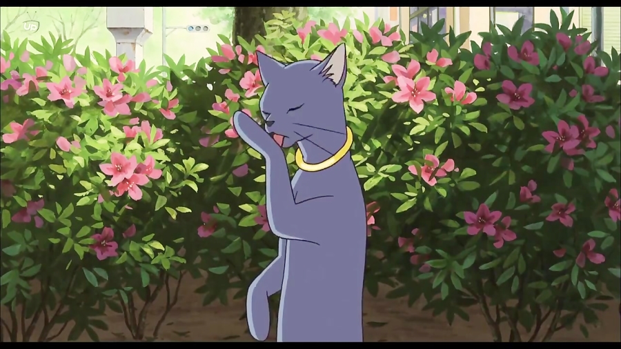 انیمیشن بازگشت گربه The Cat Returns 2002 دوبله فارسی زمان4491ثانیه