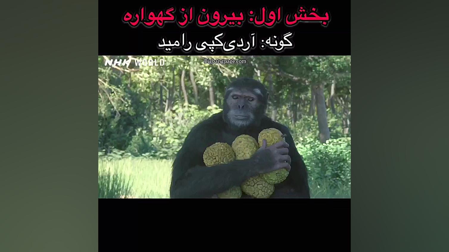 معرفی مستند "بیرون از گهواره": بخش اول زمان180ثانیه