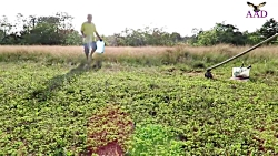 تله پرنده پرنده عالی با استفاد...