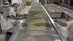 Scientist Explains How She Captured Rare Giant Squid Footage | WIRED