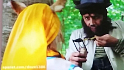 لحظه ای از گرگی و پیشونی سفید