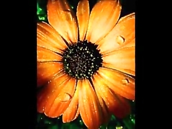 موسیقی لرستان  آهنگ لکی بزران...