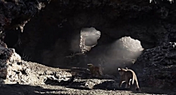 تریلر زمان عرضه فیلم شیر شاه ر...