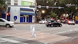 کلیپ جالب و دیدنی