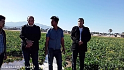 اجرای طرح  ضد شوری