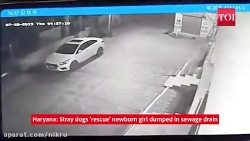 نوزاد دختر به طور معجزه&zwnj;آ...