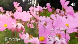 iPhone 6 6 Plus vs Samsung Gal...