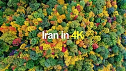 کلیپ 4k از جنگل هیرکانی ایران