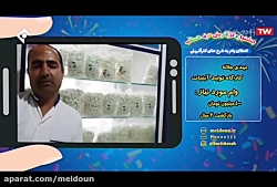 مهدی جبله- کارگاه تولیدی نقل و نبات- 1 تیرماه 98