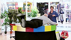 دوربین مخفی جدید خیلی باحال خن...