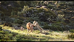 Can You Feel The Love Tonight Song Scene - THE LION KING (2019) Movie Clip