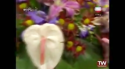 کمدی خنده دار حسن ریوندی و هوم...