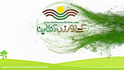 نکات مهم و ارزشمند در مورد علف های هرز (قسمت چهارم)