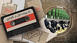 خاطرات قتل : راز پرونده قتل در...