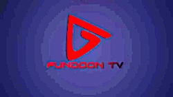 تولد لاکچری شلغم شو