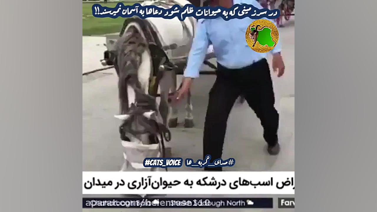 حيوان آزارى- مرگ اسب درشكه در اصفهان از شدت خستگى لیفت صورت