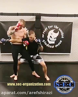 چند ضربه و دفاع کاربردی در دفا...