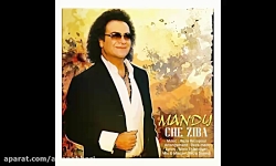 آهنگ جدید مندی به نام چه زیبا